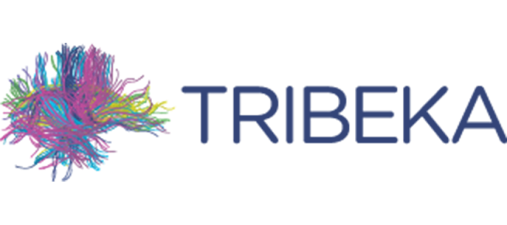 TriBEKa Consortium logo