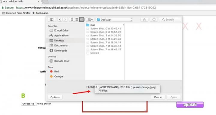 Screenshot for finding All Files on Safari