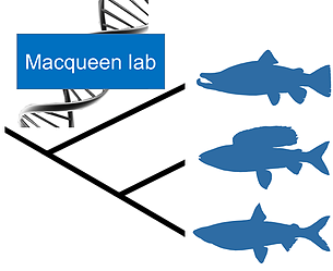 Dan Macqueen Lab