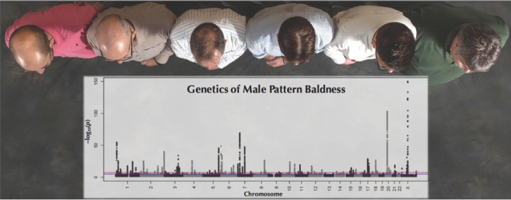 Marioni et al - authors ranked by baldness