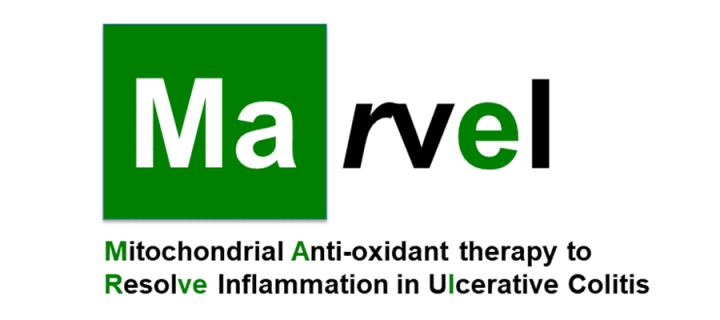 The MARVEL clinical study logo in green and black.