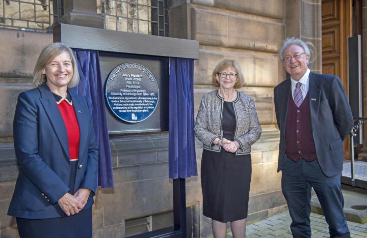 A photo of a blue plaque dedicated to Mary Pickford being unveiled by Professor Moire Whyte