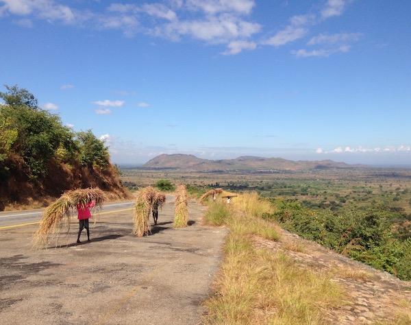 Rural scene in Malawi
