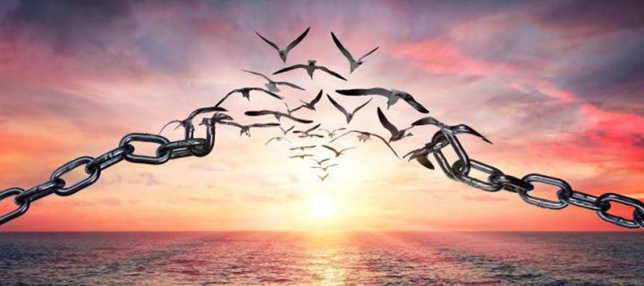 Chain of birds breaking free