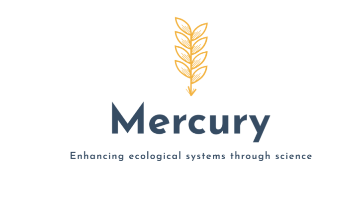 mercury logo