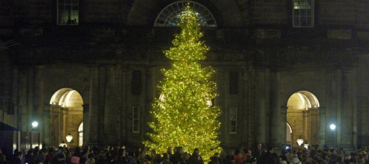 Christmas tree lights up quad