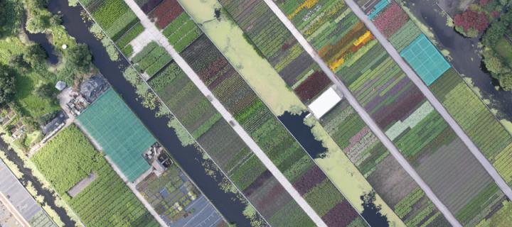 patchwork of fields in the netherlands from Dimona camera.