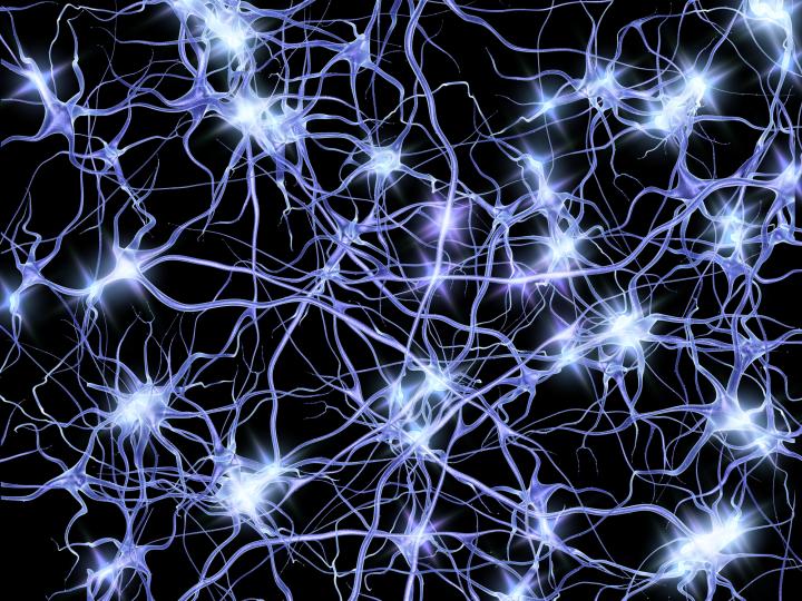 Computer artwork of nerve cells or neurons firing.