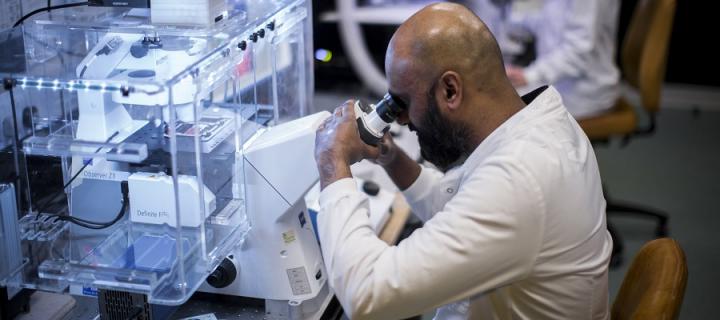 A Neuroscience researcher looks through a microscope
