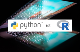 Python vs R 