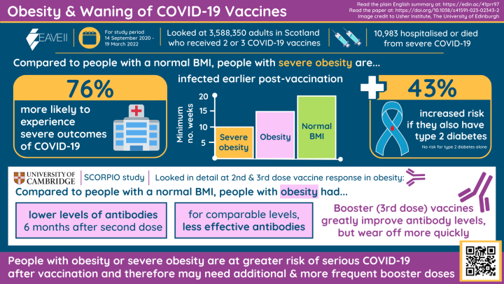Infographic of key findings from collaborative study on obesity and the waning of COVID-19 vaccines from the EAVE II (University of Edinburgh) and SCORPIO (University of Cambridge) studies. Read the plain English summary below to find out more.