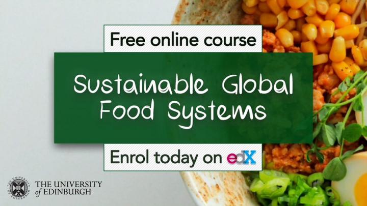 Online Course in Global Food Systems ​