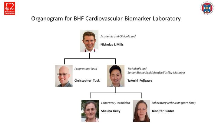 Biomarker lab organisational chart