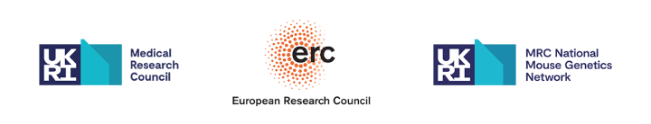 UKRI Medical Research Council, European Research Council and UKRI National Mouse Genetics Network logos