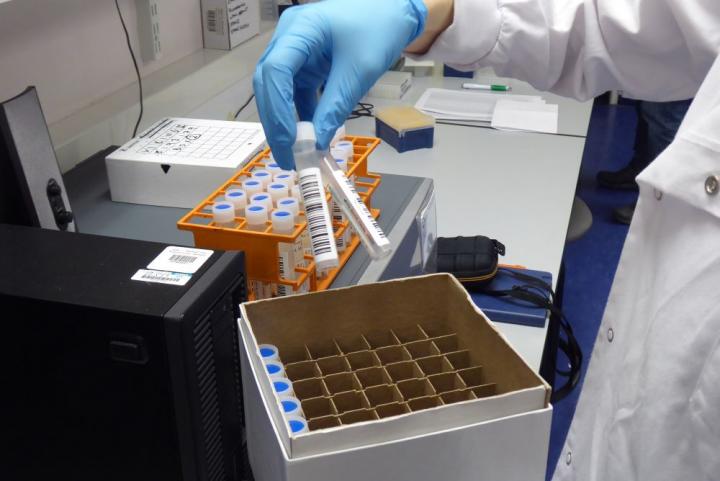 Lab technician moving sample from sample tray to storage box