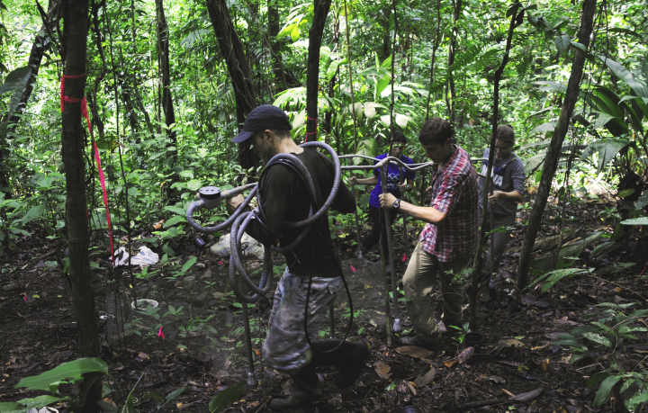 Panama forest fieldwork