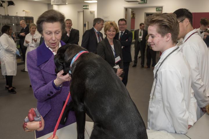 Her Royal Highness The Princess Royal at EBSOC during a “Pet Accident & Emergency” workshop with a local school. © Douglas Robertson