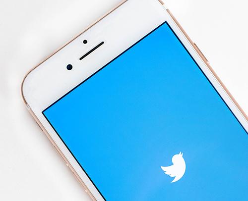 Smart phone displaying Twitter logo on screen