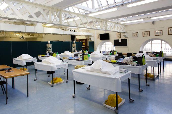 Image of Anatomy lab