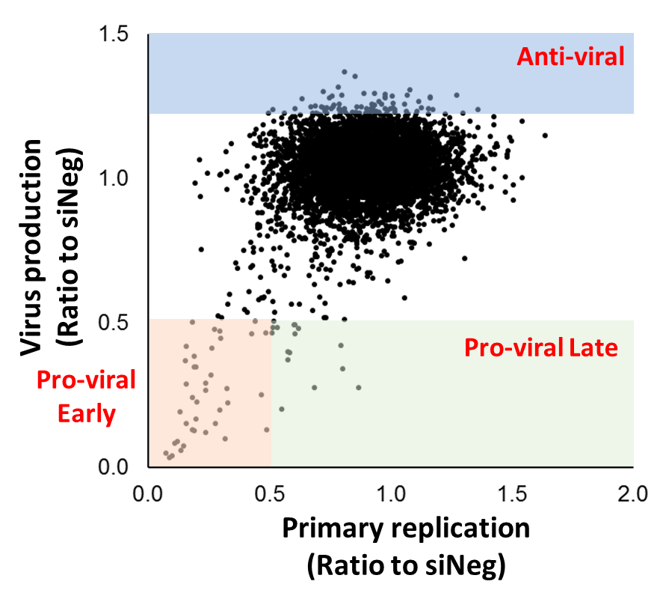 A graph plotting primary replication and virus production in a large siRNA screen