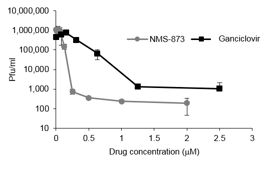 A chart showing the effect of ganciclovir and NMS-873 on CMV titres