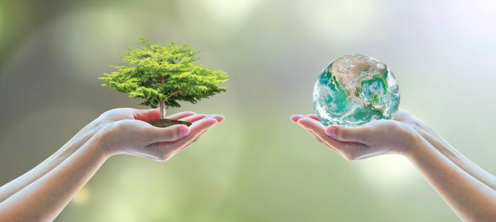 Two hands holding a tree and a globe