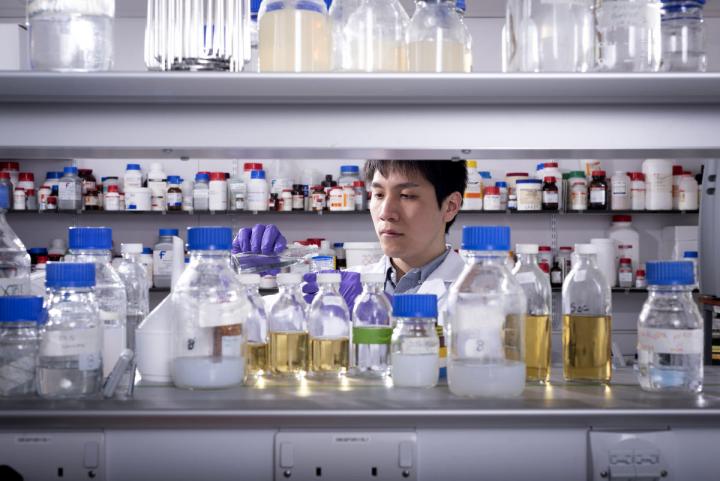 Yuta Era’s research explores how bacteria can extract specific metals from solution