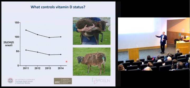 Richard Mellanby describing the stability of Vitamin D status in Soay Sheep 