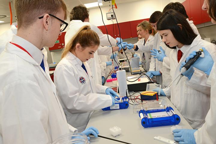Pupils get hands on with real scientific equipment and learn about genome editing
