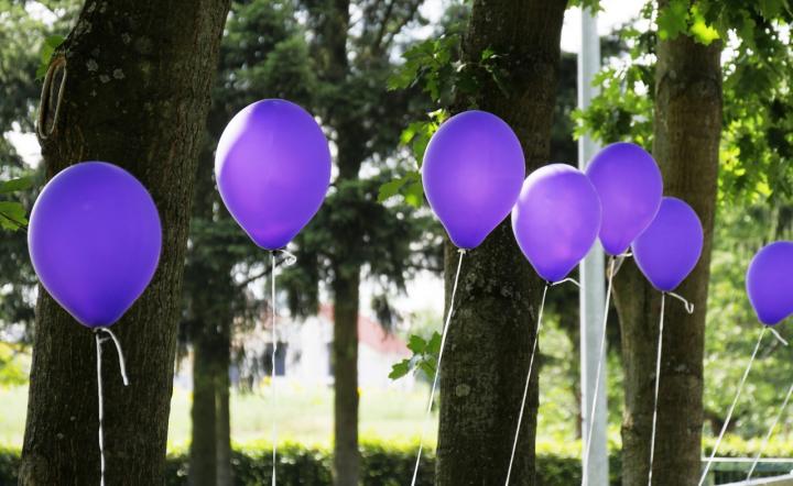 A row of purple balloons, floating in front of trees in the background. 