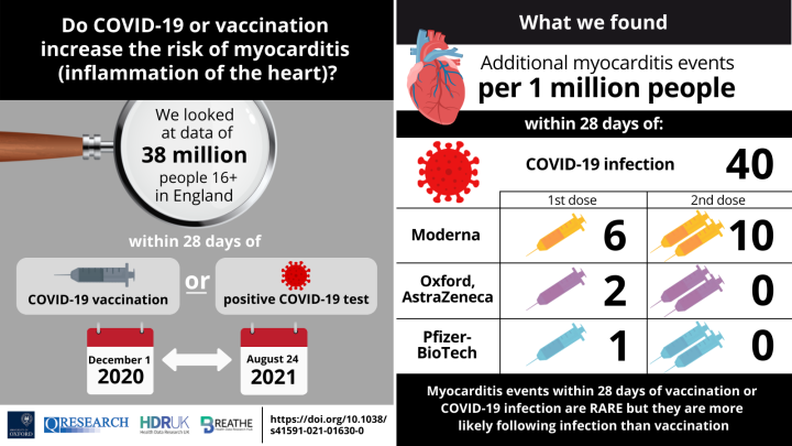 Infographic summarising key findings: more myocarditis events from COVID infection than vaccination