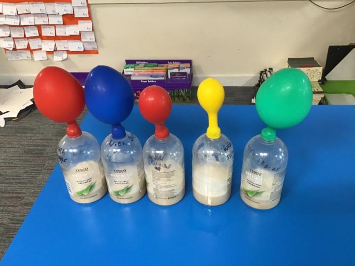 Five plastic bottles on a table, with balloons as lids, as part of the Big Balloon Blow-Up activity.