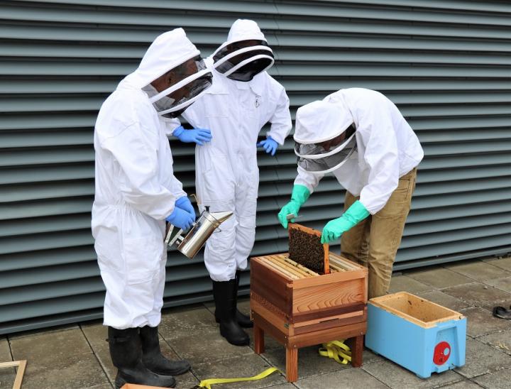 Group with bees on CRM rooftop