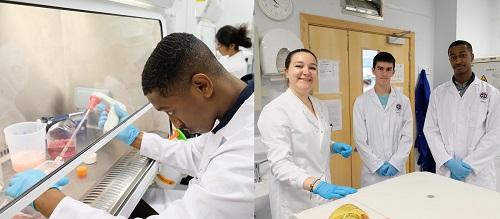 Image of Science insights pupils learning cell culture techniques