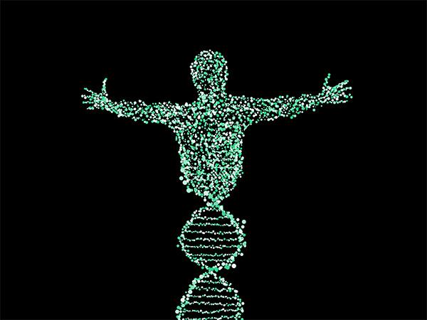 Illustration of a DNA stranding forming into the shape of a person with outstretched arms.