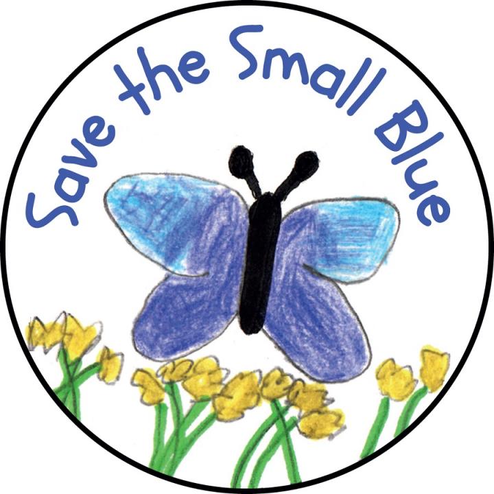 An illustration of a butterfly and words 'Save the Small Blue'