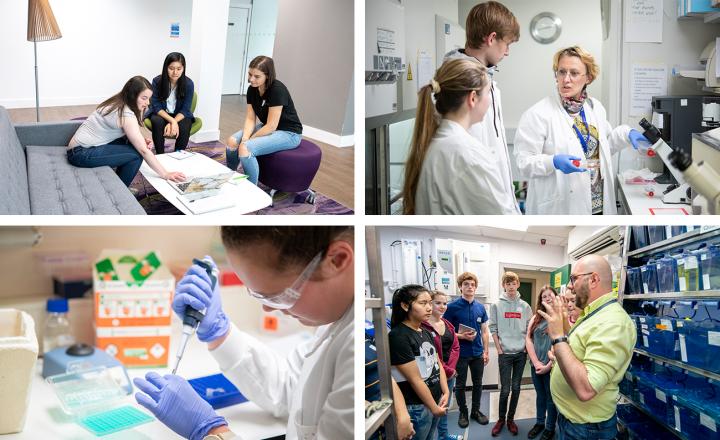 Science insights work experience week photos