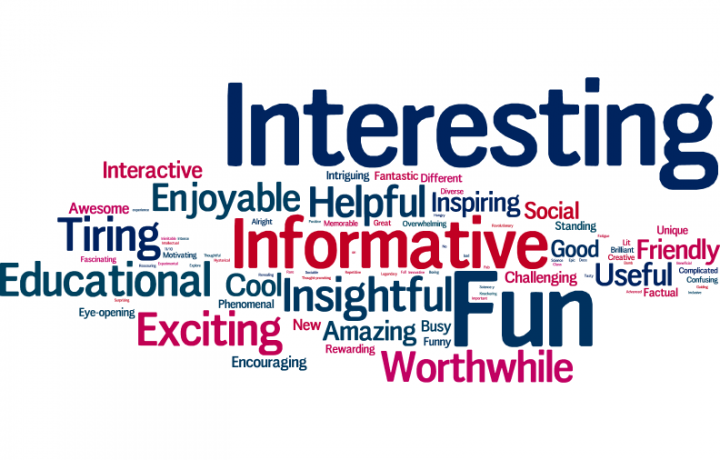 A 'Word Cloud', showing the most popular words that students used to describe the Science Insights placement.