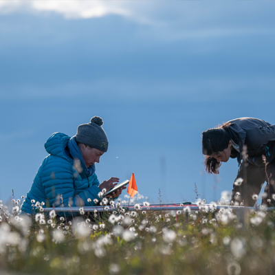 Geosciences researchers, making observations on how tundra vegetation is changing, adding to the vast body of research the University of Edinburgh undertakes on climate change. Image © Jeffrey Kerby, National Geographic Society