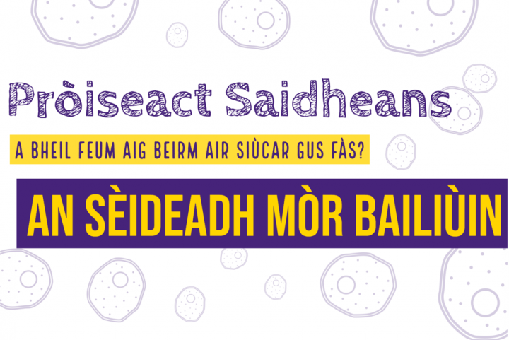 Big Balloon Blow Up Gaelic 