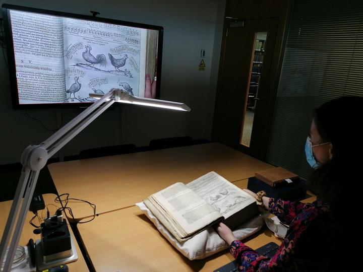 Woman sits with large book open on a cushion. A screen on the wall shows a detail of the book from an overhead camera