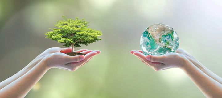 hand with globe and tree