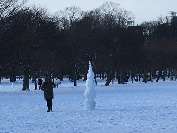 Photograph of a snowman in the meadows