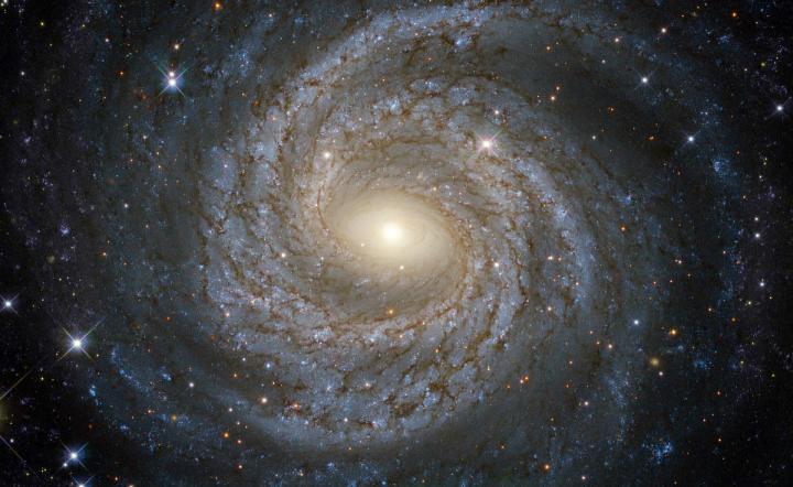 A spiral snowflake galaxy taken by the Hubble Space Telescope