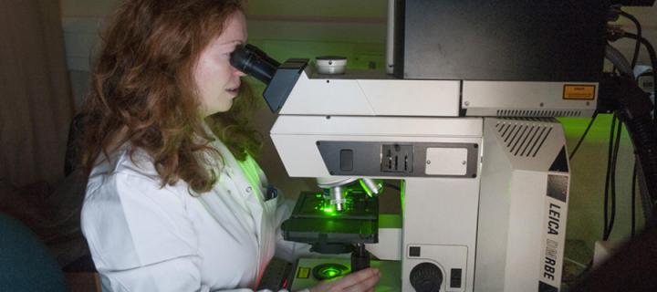 a researcher looking down a microscope