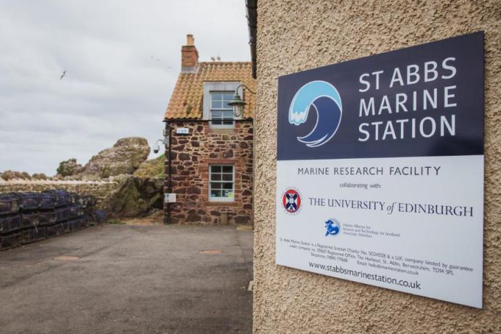 The St Abbs Marine Station at St Abbs in Scotland.
