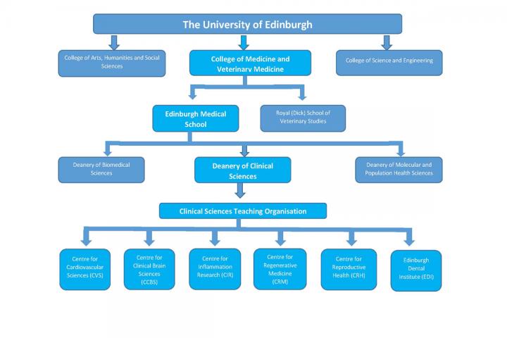University structure