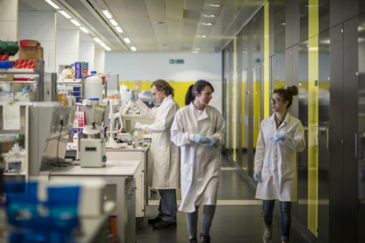 students walking through lab