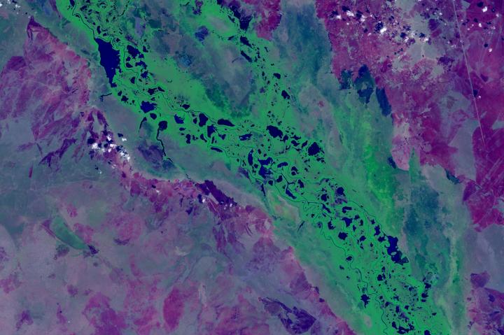 Sudd wetlands in South Sudan satellite image by NASA Worldview