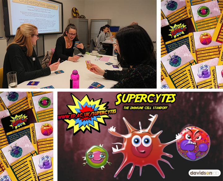 A group of teachers learn to play the Supercytes card game